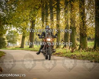 Herfstrit Moerzeke photo