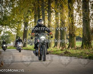 Balade d’automne Moerzeke photo