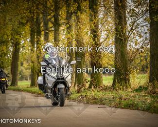 Herfstrit Moerzeke photo