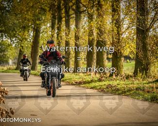 Herfstrit Moerzeke photo