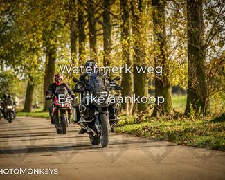 Herfstrit Moerzeke photo