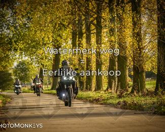 Herfstrit Moerzeke photo