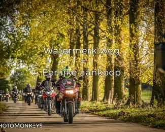 Herfstrit Moerzeke photo