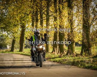 Herfstrit Moerzeke photo