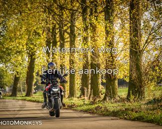 Herfstrit Moerzeke photo