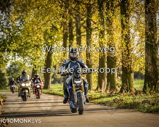 Balade d’automne Moerzeke photo