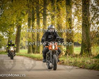 Herfstrit Moerzeke photo