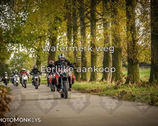 Herfstrit Moerzeke photo