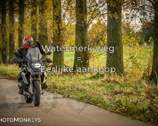 Herfstrit Moerzeke photo