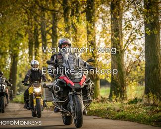 Herfstrit Moerzeke photo