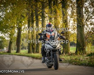 Herfstrit Moerzeke photo