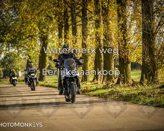 Herfstrit Moerzeke photo