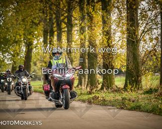 Herfstrit Moerzeke photo