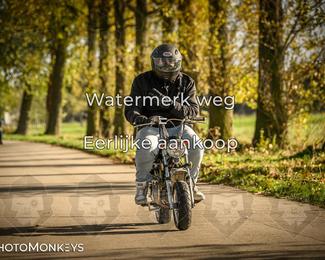 Herfstrit Moerzeke photo