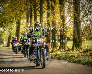 Herfstrit Moerzeke photo