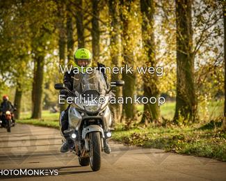 Herfstrit Moerzeke photo