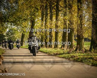 Herfstrit Moerzeke photo