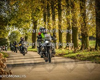 Herfstrit Moerzeke photo