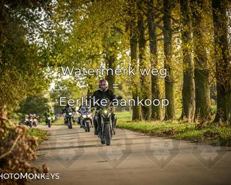 Herfstrit Moerzeke photo