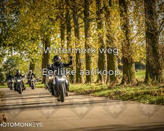 Herfstrit Moerzeke photo