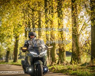 Herfstrit Moerzeke photo