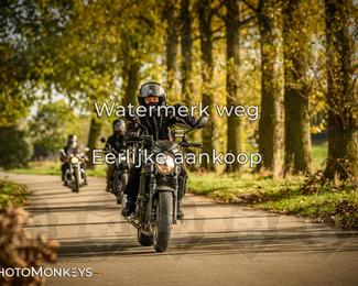 Herfstrit Moerzeke photo