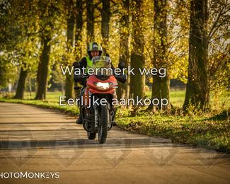 Herfstrit Moerzeke photo