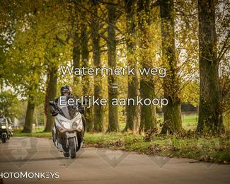 Herfstrit Moerzeke photo