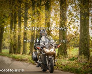 Herfstrit Moerzeke photo