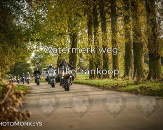 Herfstrit Moerzeke photo