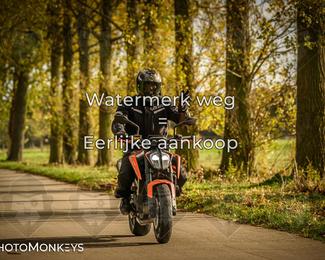 Herfstrit Moerzeke photo