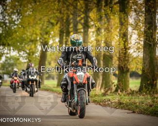 Herfstrit Moerzeke photo