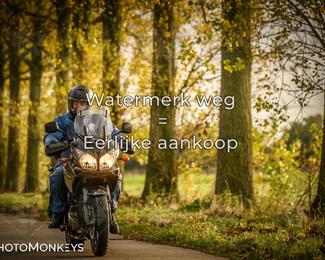 Herfstrit Moerzeke photo