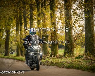 Herfstrit Moerzeke photo