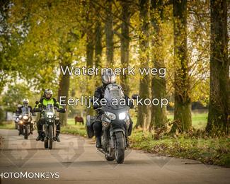 Herfstrit Moerzeke photo