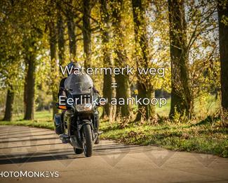 Herfstrit Moerzeke photo