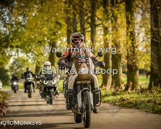 Herfstrit Moerzeke photo