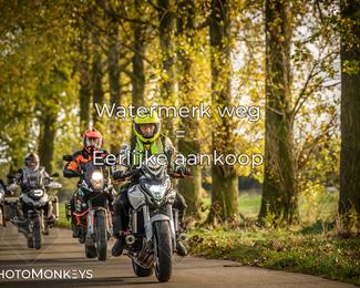 Herfstrit Moerzeke photo