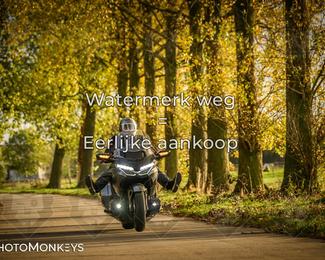 Herfstrit Moerzeke photo