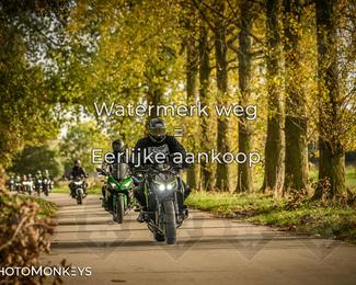 Herfstrit Moerzeke photo