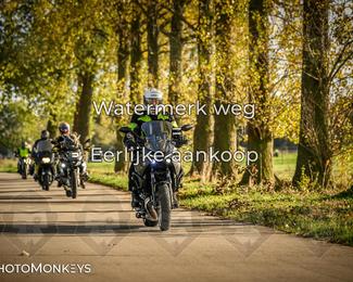 Herfstrit Moerzeke photo