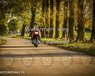 Herfstrit Moerzeke photo