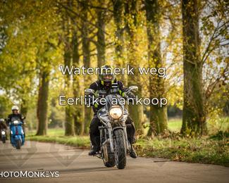 Herfstrit Moerzeke photo