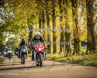 Herfstrit Moerzeke photo