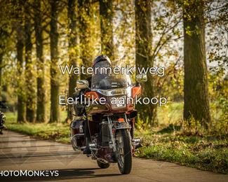 Herfstrit Moerzeke photo