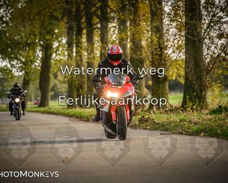 Herfstrit Moerzeke photo