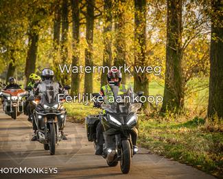 Herfstrit Moerzeke photo