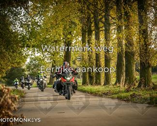 Herfstrit Moerzeke photo