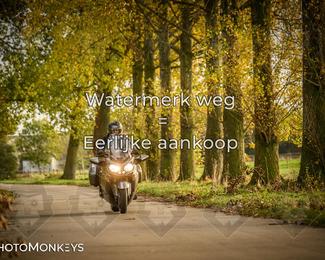 Herfstrit Moerzeke photo