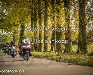 Herfstrit Moerzeke photo